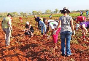 May Day Brigade does volunteer work on Cuba’s farms