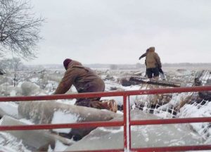 Midwest Fishing Report: 'Bomb Cyclone' builds ice fishing around