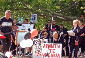 Protesters in New Zealand defend Maori land