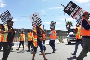 Truck drivers employed by NFI Industries’ California Cartage picket port in Wilmington, California, Sept. 9 during weeklong strike, demand to be treated as workers, not “contractors.”