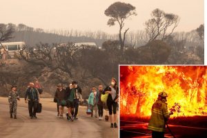 After deadly wildfires, Australian government belatedly organized evacuation of stranded people trapped on Mallacoota Beach Dec. 31. Inset, volunteer firefighter battles bushfire. Authorities allowed huge buildup of forest and brush, “a time bomb waiting to go off.”