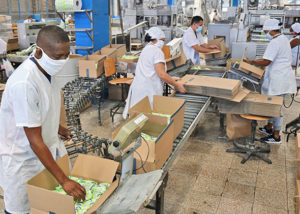 Suchel Camacho soap factory, Havana. Revolutionary government in Cuba is organizing working people to increase food, industrial production in face of world capitalist economic crisis.