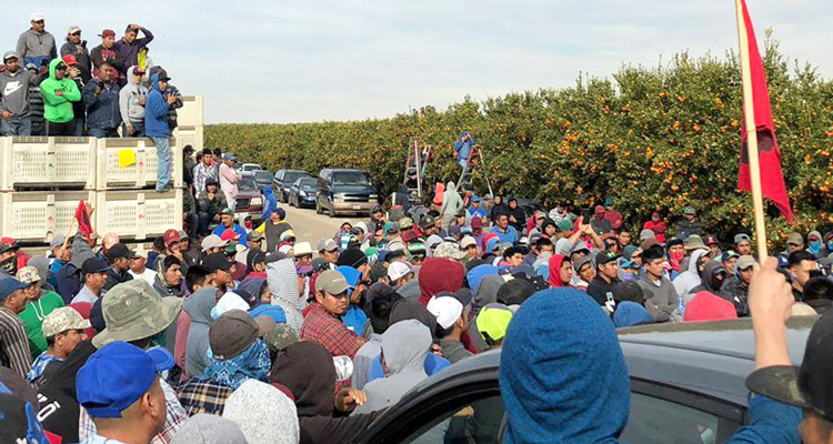 Strike meeting of 1,800 immigrant fruit pickers in Bakersfield, California, last year over pay cuts. With White House OK, big farmers are planning wage cuts to those on temporary guest visas, an attack on all workers.