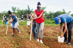 Young people in Havana planting cucumbers at La Batalla farm May 23. Union of Young Communists is leading workers, farmers and youth to expand agricultural production to cut into food shortages caused by deepening world capitalist crisis, punishing U.S. trade sanctions.
