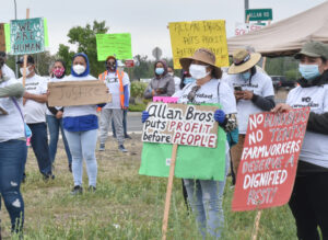 Striking workers picket at Allan Brothers fruit processing plant in Naches, Washington, May 19. Workers are demanding higher wages, job safety, clean water and 40-hour workweek.