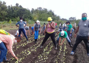 Members of Cuba’s Committees for Defense of the Revolution do voluntary work on vegetable farm, June 7. CDRs have helped mobilize masses to counter U.S. rulers’ economic and military efforts to overturn Cuban Revolution, while providing vital supplies like food, medicines.
