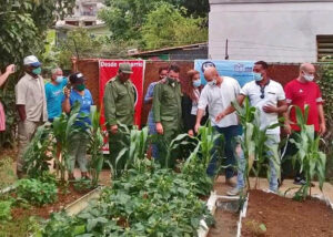 Los Comités de Defensa de la Revolución y otras organizaciones de masas están organizando al pueblo para aumentar la producción de alimentos a través del programa “Cultiva tu Pedacito”. Gerardo Hernández (tercero desde la derecha), es el coordinador nacional de los CDR.