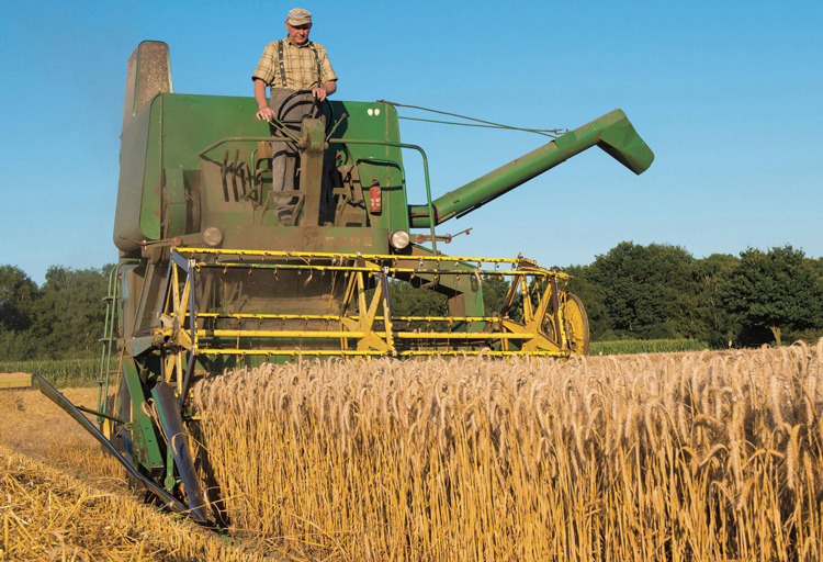 Farmer on combine havester. Bosses, backed by capitalist press, try to divide farmers from workers by saying strike at John Deere will cause machinery, parts shortages during harvest. Family farmers, who face debt squeeze by corporations, banks, identify with workers on strike.