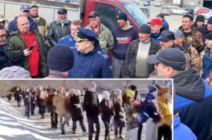 Novossibirsk, en Sibérie. En haut, éboueurs en grève pour de meilleures conditions de travail. En bas, manifestation au même endroit, le 27 février, pour dénoncer la guerre de Moscou contre l’Ukraine.