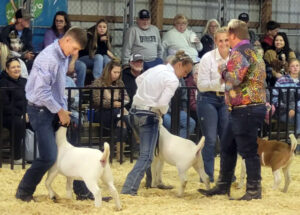 4-H members show animals at this year’s Brown County Fair in Ohio. SWP candidates and supporters met farmers at the event, discussed need for fighting alliance of workers and farmers.