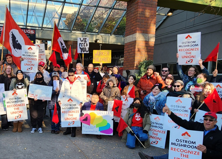 Some 60 Ostrom Mushroom workers and supporters rally at Metropolitan Market in Seattle Nov. 20 to win support for their fight for representation by the United Farm Workers union.