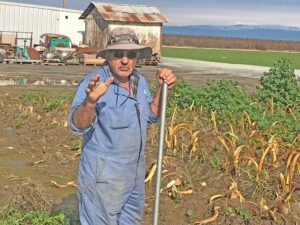 Frank Ferreira, who grows wheat and corn on his 30-acre farm in San Joaquin Valley, California, talks to Militant Jan. 7. He said capitalist farmers, the “big guys,” who can pay for deeper wells, take out 90% of the water for irrigation. This literally leaves working farmers high and dry.