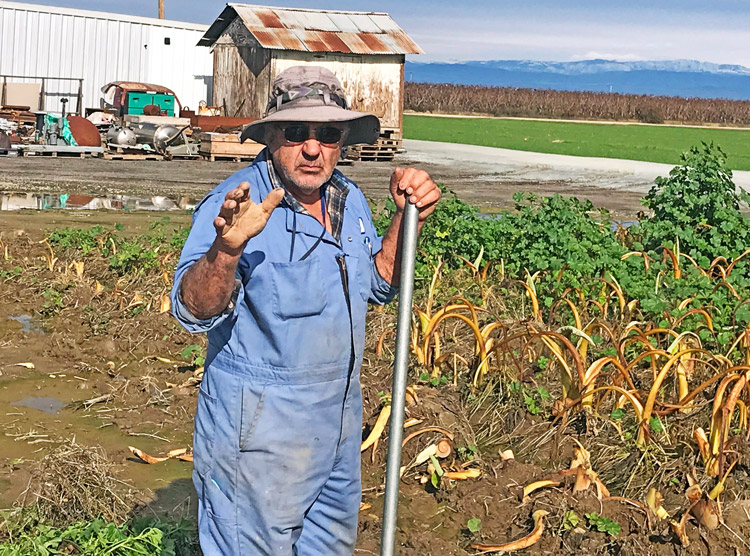 Frank Ferreira, agricultor de trigo y maíz en Valle de San Joaquín, California, habla con el Militante el 7 de enero. Los “grandes” que pueden pagar por pozos profundos, sacan el 90% del agua para irrigación, dice Ferreira. Dejan a los pequeños agricultores literalmente secos.