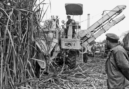 Worker drives harvester in Cuba in 1970s. Che Guevara championed the mechanization of cane cutting, freeing a million workers from back-breaking labor.