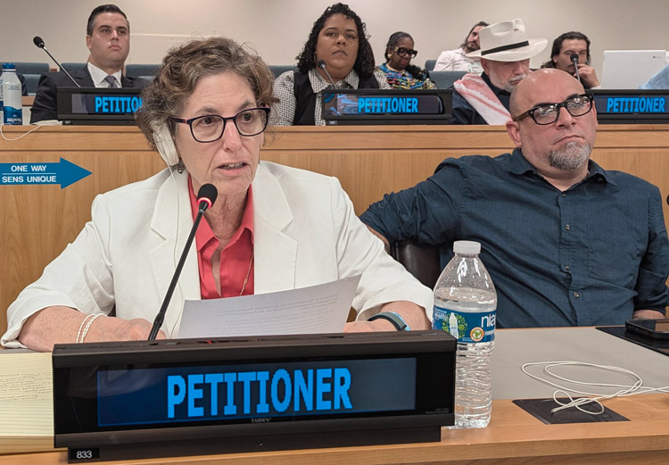 Rachele Fruit, Socialist Workers Party candidate for U.S. president, testifies in defense of fight by Puerto Rican people to throw off U.S. colonial oppression at U.N. hearing June 20.