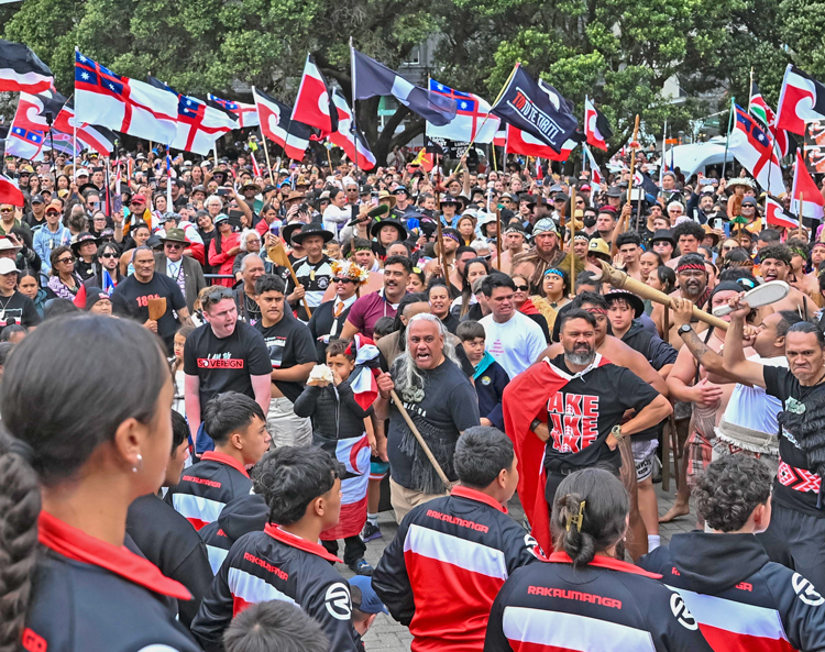 Rally by 40,000 people in Wellington, New Zealand’s capital, Nov. 19, showed indigenous Maori people’s pride in their gains. Action was called by Maori Party and backed by Labour, other opposition parties. None act to advance interests of Maori and of all working people.