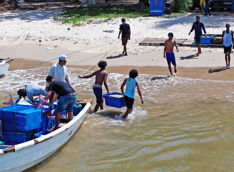 Trinidadian fishermen are battered by Washington’s deadly military attacks in its “anti-narcoterrorism” campaign against Venezuela, meant to increase U.S. rulers’ hold on the region.