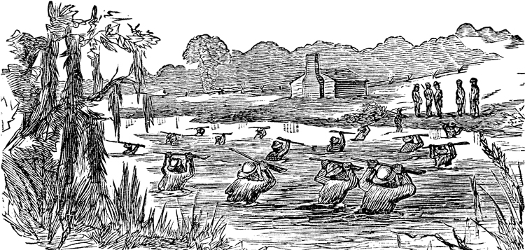 Freed slaves, enfranchised in 1870, ford a creek in Georgia, rifles in hand, on way to the polls. To exercise the right to vote during Radical Reconstruction, African Americans needed disciplined organization and self-defense.